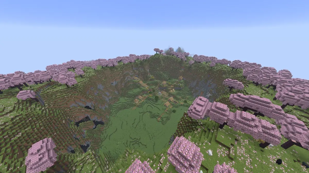 Cherry Blossoms Everywhere