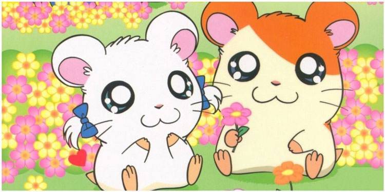 انیمه Hamtaro