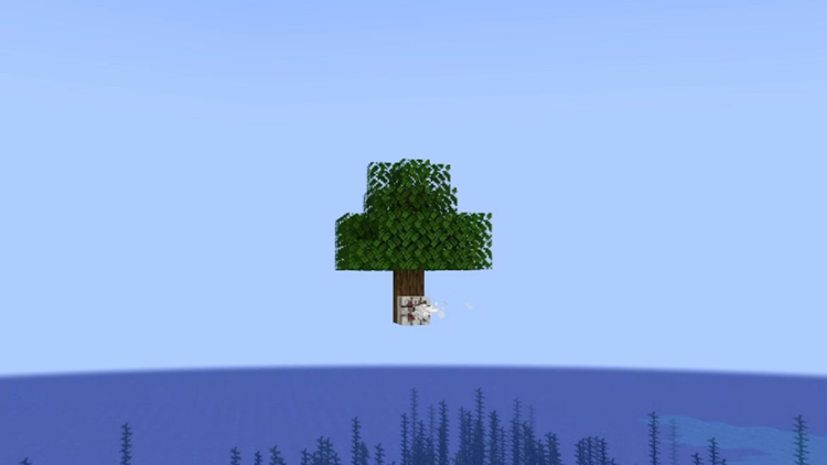 یک بلوک floatater که درختی را معلق نگه داشته و هل می‌دهد که نشانگر کاربردهای گسترده آن در بازی ماینکرفت است.