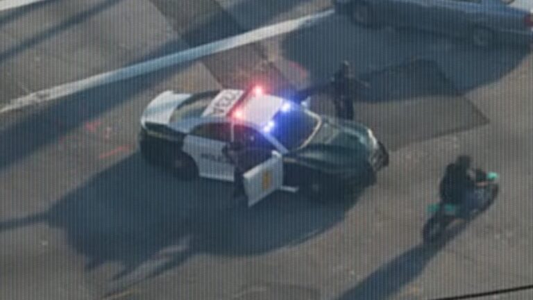 پلیس‌های بازی GTA VI چگونه خواهند بود؟