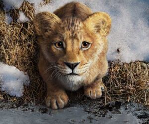 فیلم جدید شیر شاه به نام Mufasa: The Lion King