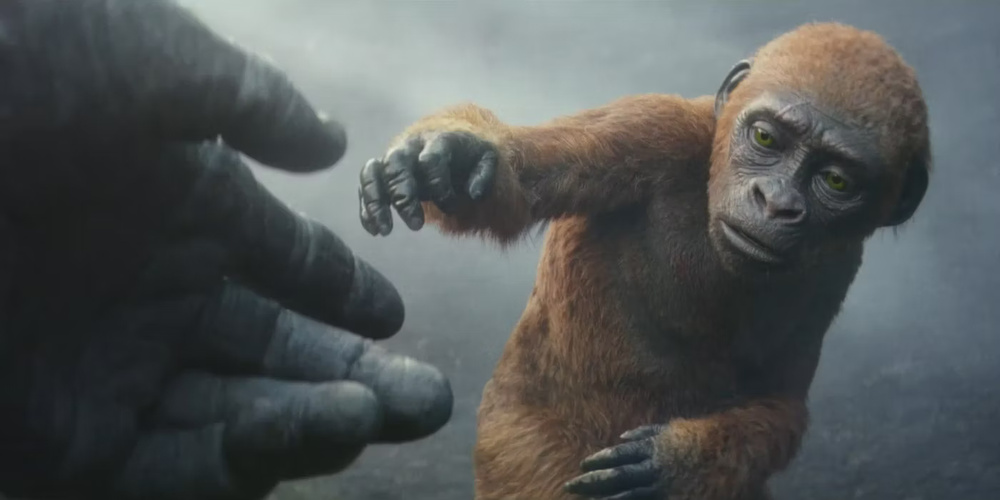 میمون قرمز کوچک در فیلم گودزیلا دربرابر کونگ