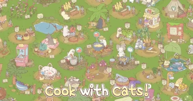 Cats & Soup