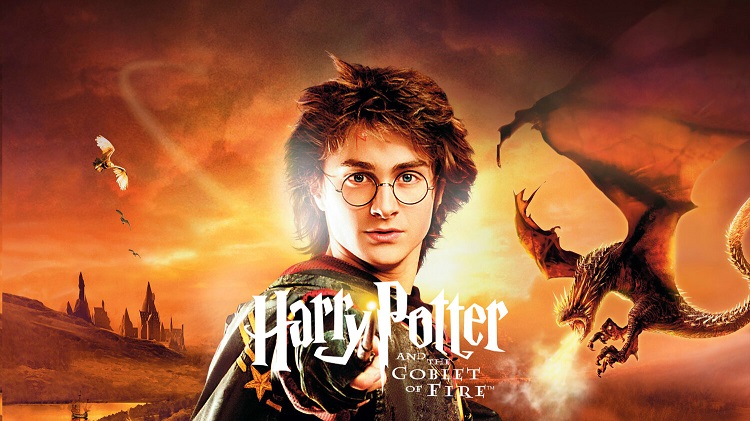 استفاده از داستان و صداپیشگان فیلم اصلی، بازی Harry Potter and the Goblet of Fire به یک تجربه جذاب و ماندگار تبدیل شد