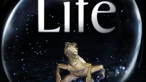 Life