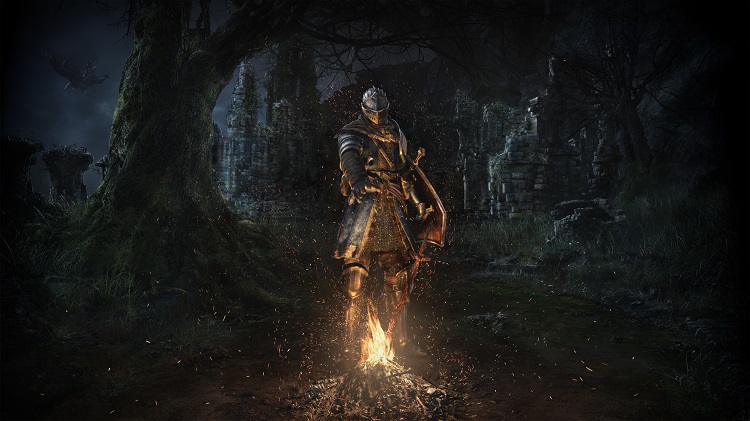 بازی Dark Souls بر پایه اصل شایسته‌سالاری ساخته شده است و بدون درس گرفتن و پیشرفت، به شما پاداش نمی‌دهد