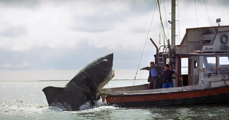 Jaws