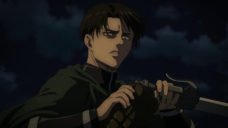 Levi