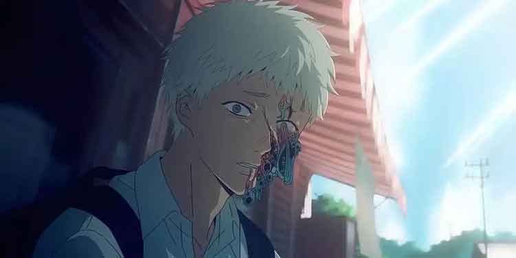 The Summer Hikaru Died