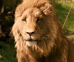 فیلم نارنیا به کارگردانی گرتا گرویگ
