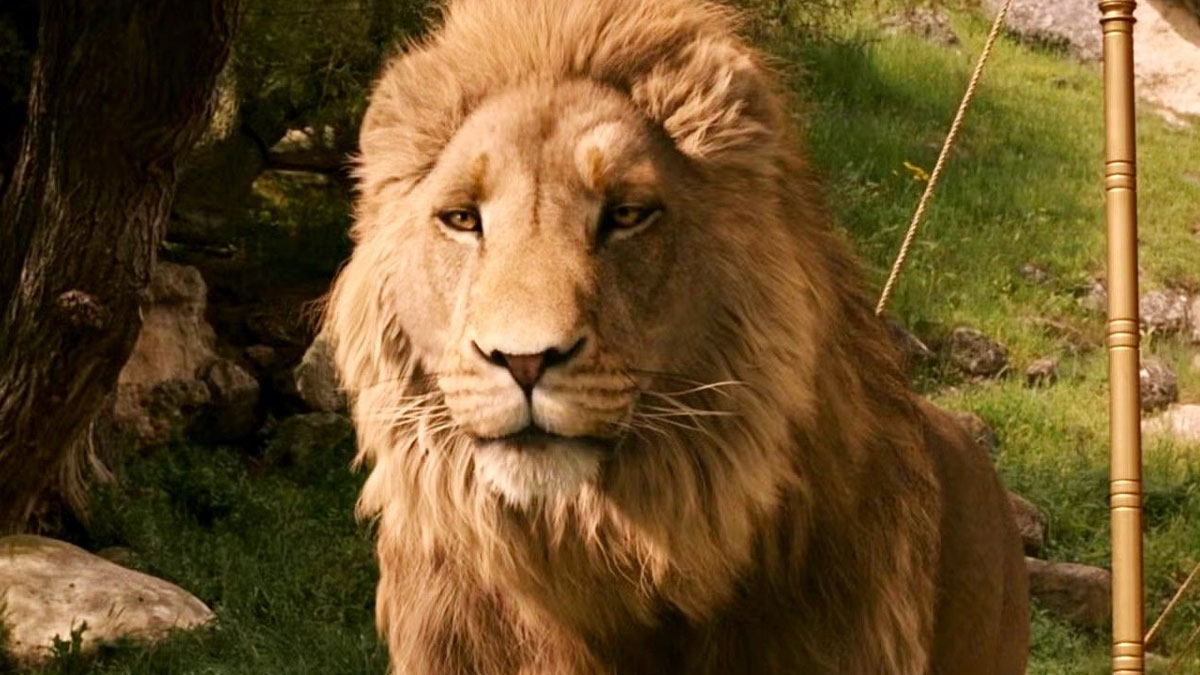 فیلم نارنیا به کارگردانی گرتا گرویگ