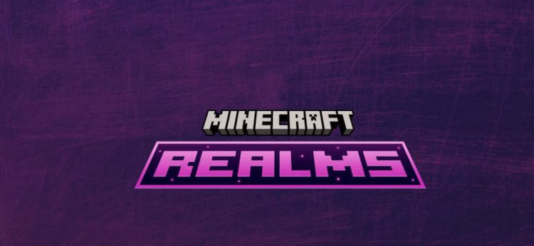 Realms روشی یکپارچه‌تر برای بازیکنان ارائه می‌دهد تا از دنیای مولتی پلیر لذت ببرند و از مزایای زیادی بهره‌مند شوند، که باعث می‌شود این سرورها جذابیت کمتری داشته باشند.