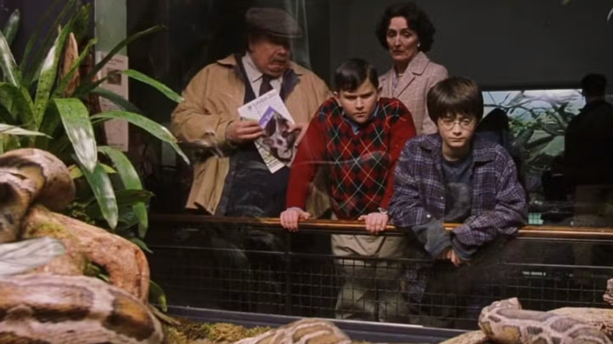 دورسلیها هری پاتر