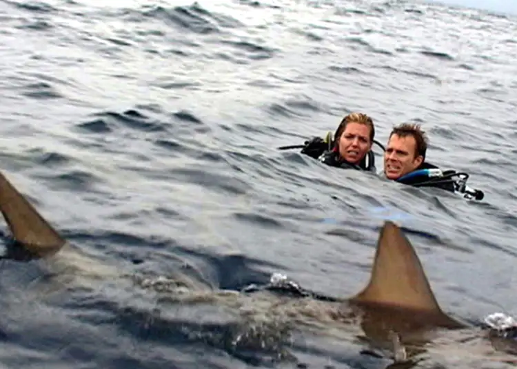 فیلم ترسناک Open Water