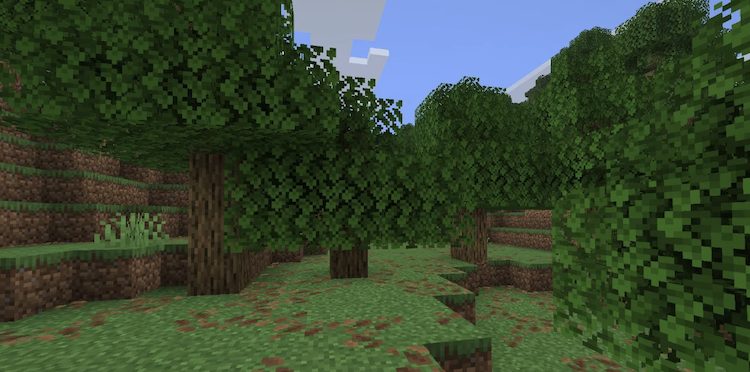 درختان بلوط رایج‌ترین نوع درخت در ماینکرفت هستند.