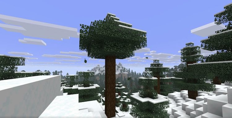 درختان صنوبر را می‌توان در بایوم‌های سردتر یافت.