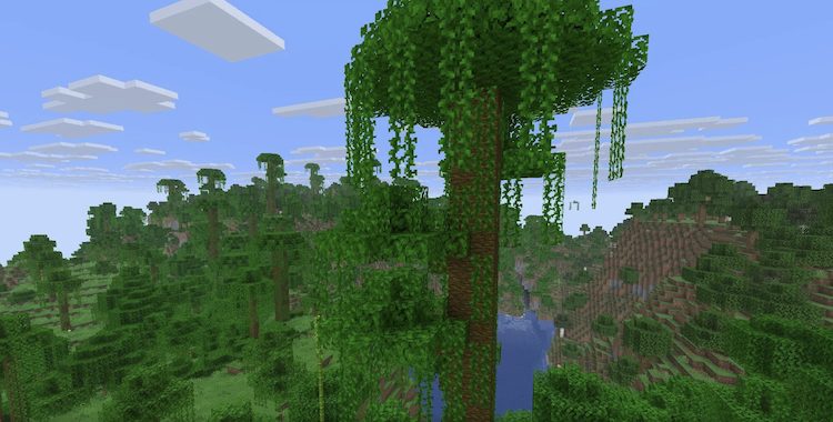 انواع درختان جنگلی در بازی ماینکرفت می‌توانند بسیار بزرگ شوند.