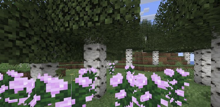 درختان بیرچ در ماینکرفت الگوی منحصر به فردی روی تنه خود دارند.