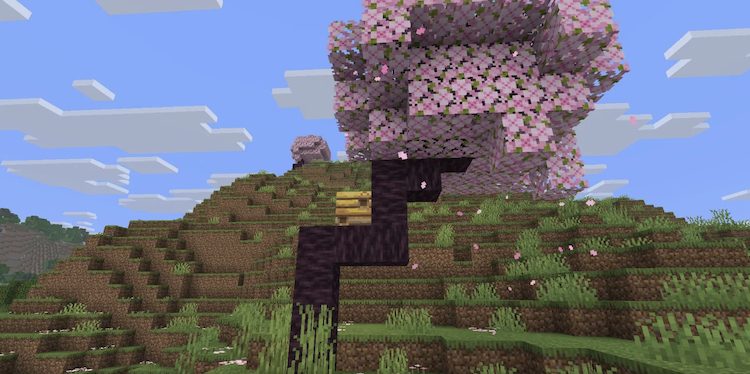 درختان گیلاس در ماینکرفت بسیار زیبا به نظر می‌رسند.