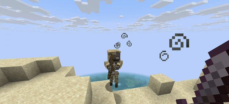 اسکلت خشکشده نوع جدیدی از اسکلتون در بازی ماینکرفت است که در بیابانها اسپاون میشود.