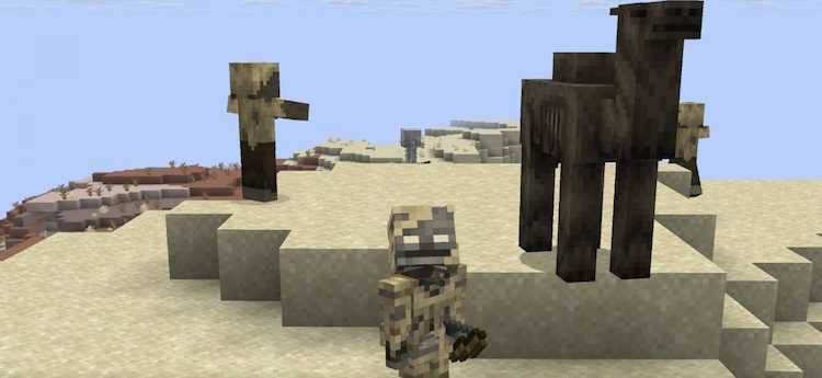 ماب‌های اسکلتون خشک‌شده در بیابان اسپاون می‌شوند و گاهی اوقات جایگزین اسکلت‌های معمولی می‌شوند و شبیه اسکین زامبی در بازی ماینکرفت به نظر می‌رسند.