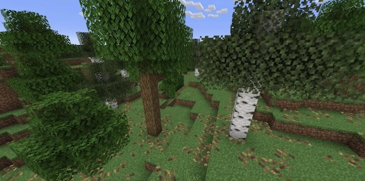 ریزش برگ‌ها منجر به ایجاد برگ‌های جمع شده روی زمین‌های دنیای ماینکرفت می‌شود.