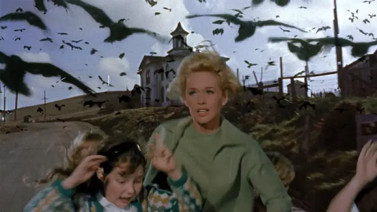 فیلم ترسناک The Birds