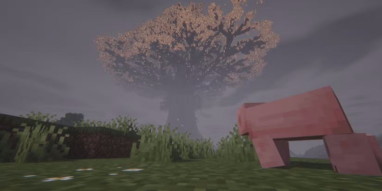 ماد ماینکرفت