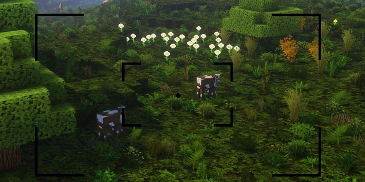 ماد ماینکرفت