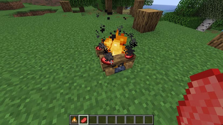 آشپزی در کمپ فایرها سرعت شما را به مراتب بالاتر میبرند