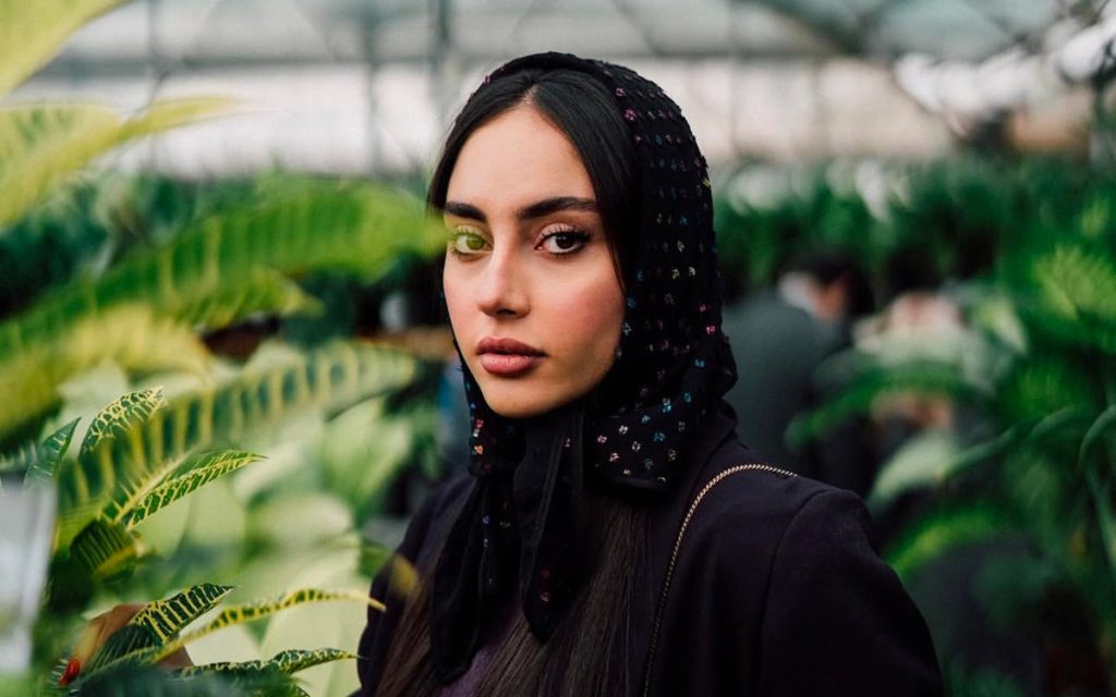 ترلان پروانه