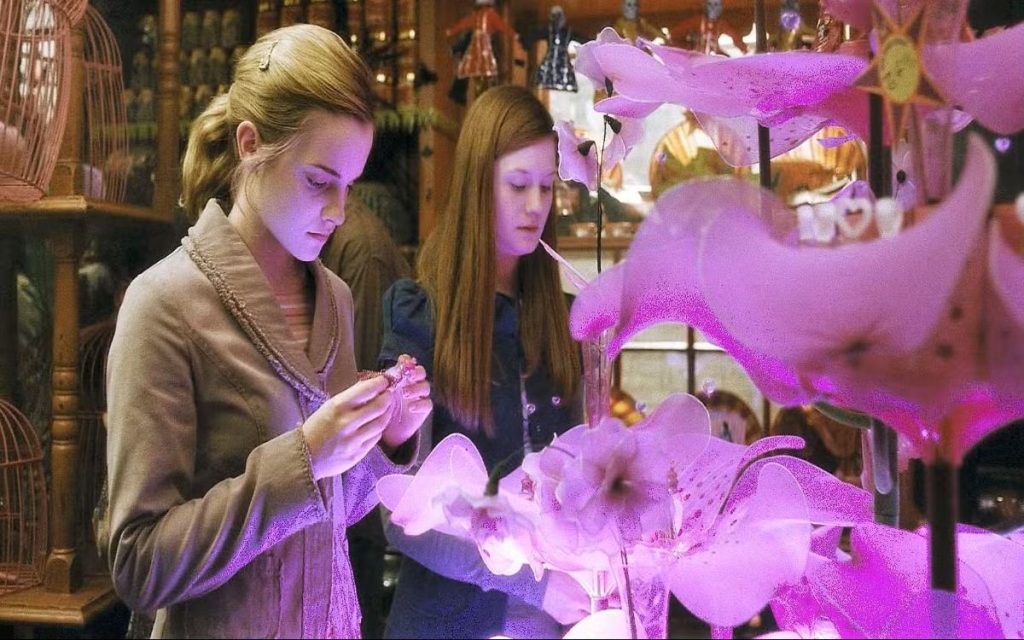 8 سکانس فیلم‌های هری پاتر که نباید در سریال جدید Harry Potter باشند