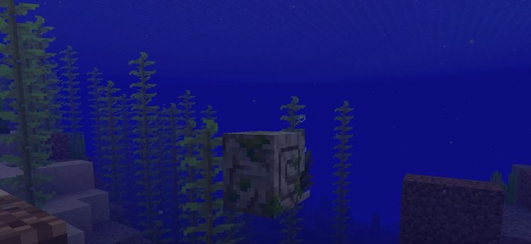 ناتیلوس زامبی وقتی توسط دروندها سواری می‌شود، دشمن شما خواهند شد. 