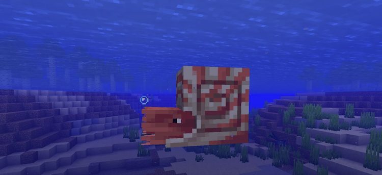 در حالی که می‌توانید یک ناتیلوس را در ماینکرفت پرورش دهید، ولی باید بدانید که نوع زامبی آن قابل پرورش نیست.