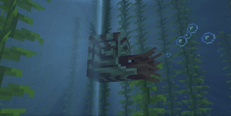 ناتیلوس در حال استراحت در جلبک دریایی بازی ماینکرفت