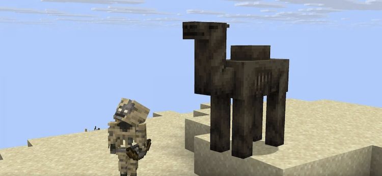 کمل هاسک در ماینکرفت به همراه زامبی پارچد و هاسک زامبی ظاهر می‌شود.