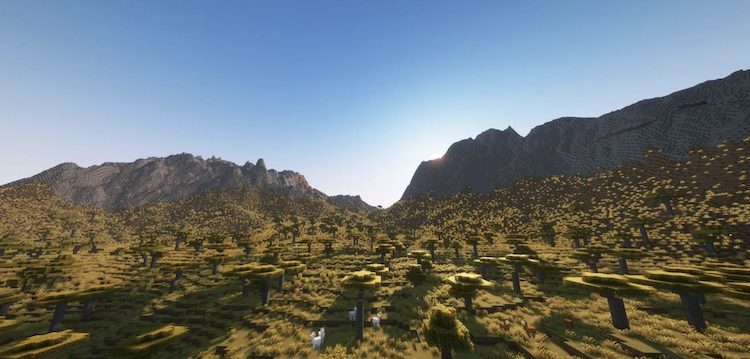 این ماد میتواند جنریشن زمین و بایوم را در بازی ماینکرفت بسیار بهتر کند.