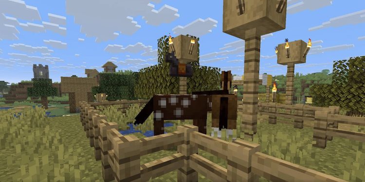 آرمور ندرایت برای اسب در بازی ماینکرفت