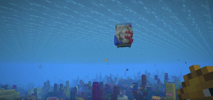 ناتیلوس زامبی مرجانی در ماینکرفت را میتوان با استفاده از پافر فیش یا یک سطل ماهی رام کرد.