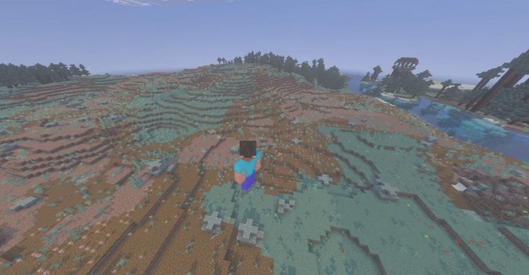 یکی از بازیکنان ماینکرفت یک بایوم عجیب و غریب پیدا کرده است.