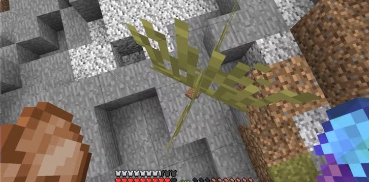 این یکی از عجیبترین گلیچهای بازی ماینکرفت است.