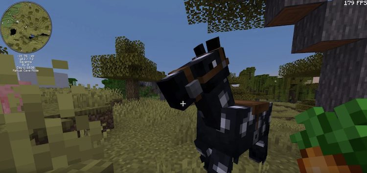 یک اسب سریع میتواند در طول بازی ماینکرفت کمک زیادی به شما کند.