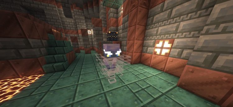 انواع مختلفی از دشمنان برای مبارزه در تریال چمبرز ماینکرفت وجود دارد.