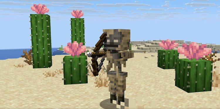 اسکلت پارچد در بایوم بیابانی ماینکرفت