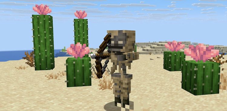 پارچد گونهای جدید از اسکلتون در بیابانهای ماینکرفت است.