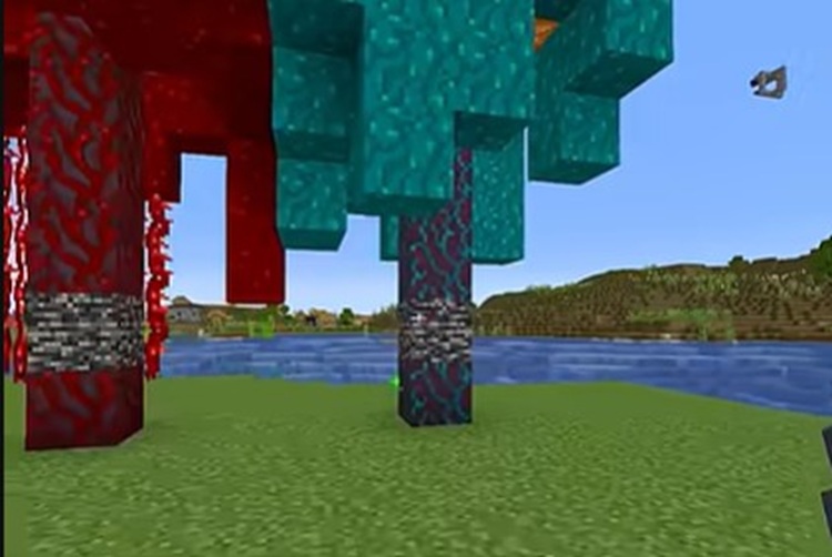 پروسه رشد گیاهان در ماینکرفت واقعا عجیب است!