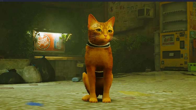 فیلم‌ها و سریال‌های جدیدی که از بازی‌های ویدیویی ساخته می‌شوند