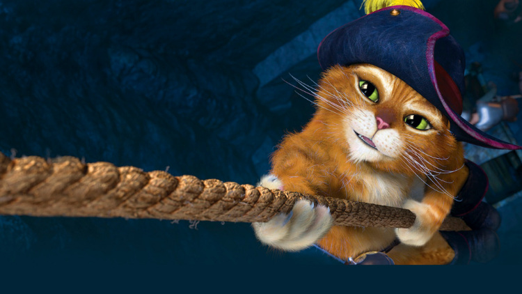 زندگی با چابکی گربهوار