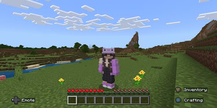 گلهای شقایق و قاصدک یکی از مهمترین گلهای بازی ماینکرفت محسوب میشوند