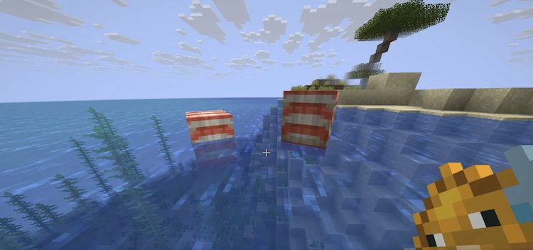 ناتیلوس را می‌توان با استفاده از ماهی بادکنکی در بازی ماینکرفت رام کرد.